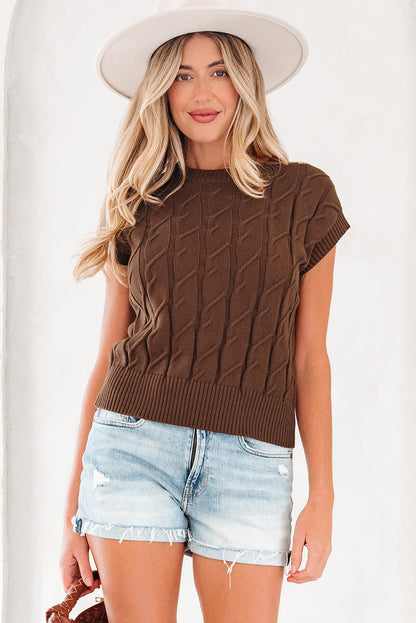 Dark Brown Cable Texture Crew Neck Short Sleeve Sweater Top - Rich Elegance